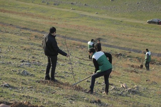 Бўстонлиқда Камбағалликни қисқартириш ва бандлик вазирлиги янги боғ яратмоқда