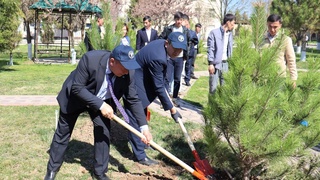 ФАО провела в Ташкенте праздничную акцию к Наврузу и Международному дню лесов
