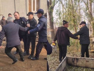 Заместитель хокима Ферганской области уволен за незаконную вырубку деревьев и применение насилия