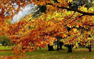 Зима встретит нас аномальным теплом!