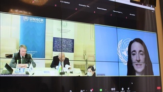 Фуқаросизликни камайтириш тўғрисидаги конвенция ўзбек тилига таржима қилинди