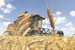 Андижондаги дон корхоналарига манипуляция ҳаракатлари учун жарима қўлланилди