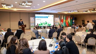 В пяти странах Центральной Азии реализуют проект по повышению устойчивости городов