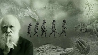 12 февраля - Международный день науки и гуманизма (День Дарвина)