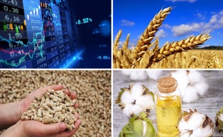 На Узбекской республиканской товарно-сырьевой бирже снизились цены на пшеницу, шрот и хлопковое масло