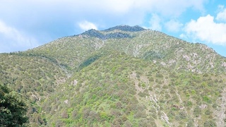 Бүгін Өзбекстанда ауа райы 35 градусқа дейін ысиды