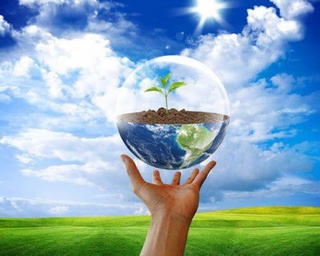 Тошкент табиатни муҳофаза қилиш прокуратураси ташкил этилди