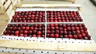 Қулай шарт-шароит ва дўстона алоқалар