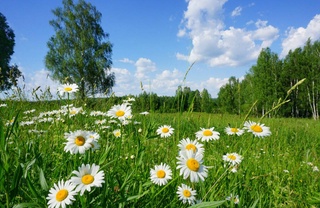 Weather forecast for June 27th