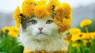 Вот и лето пришло: в выходные будет +30