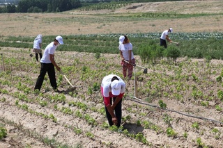 Меҳнат бозорида ёшлар рақобатдошлиги оширилмоқда