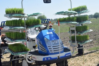 Ўзбекистоннинг гуруч бренди