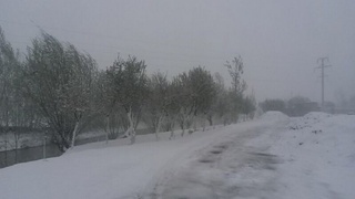 Янги йил кечаси Тошкент вилояти ва Фарғона водийсида қор ёғади