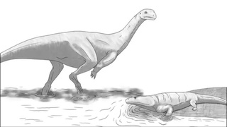 Zimbabveda dinozavrning yangi turi topildi