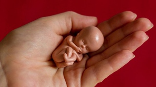 Болалар Омбудсмани ҳомилани сунъий тўхтатувчи препаратлар савдосини чеклашни таклиф қилмоқда