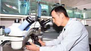 Насыщение рынка продовольственной продукцией