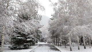 Прогноз погоды на 31 января