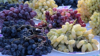 Ўзбек узуми Германияга етиб борди