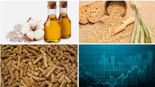 На «Узбекской республиканской товарно-сырьевой бирже» снизились цены на хлопковое масло, пшеницу и шрот