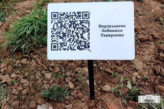 Pandemiya davrida vafot etgan tibbiyot xodimlari xotirasiga daraxt ekildi