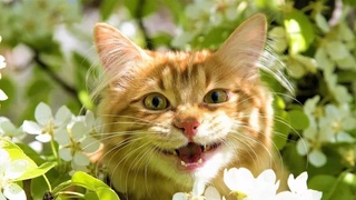 В Узбекистане на этой неделе ожидается жара до +38 градусов