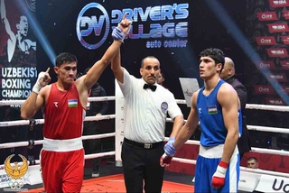 Определены сильнейшие боксеры страны