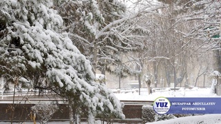 Next week, Uzbekistan will experience frosts up to -27 degrees