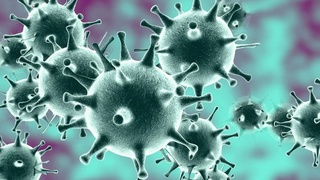 Koronavirus suv yo'llari orqali ham kirib kelishi mumkin