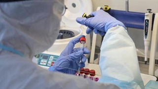 Новое средство для терапии Covid-19