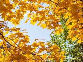 Прогноз погоды на день 5 октября