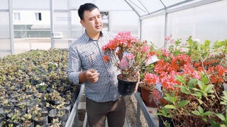 Каждая пядь земли дороже золота, или Как заработать 60 млн сумов на четырех сотках