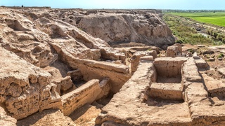 Всемирное общество подключилось к спасению Кампыртепа