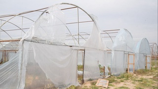 Фарғона туманида ўзини оқламайдиган лойиҳага нега сармоя ажратилди?