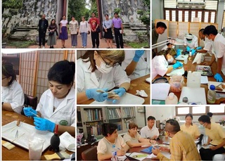 Oʻzbekiston muzey xodimlari Tailandda restavratsiya va konservatsiya boʻyicha malaka oshirdilar