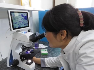 Фанлар академияси Микробиология институтида «Фитовирусология» илмий лабораторияси ташкил этилади