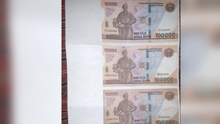 Самарқандда қалбаки пуллар ишлаб чиқарган шахслар ушланди