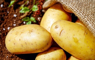 Ӯзбекистон ба Қазоқистон ҳаҷми рекордии картошка содир кард