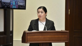 Инсон ҳуқуқлари бўйича вакил (омбудсман)нинг ҳисоботи эшитилди