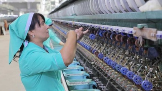 Сурхандарья шелководческая: наращивая темпы и внедряя инновации