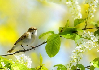 Пешгӯии обу ҳаво барои 23 март