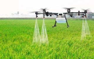 Малайзийская компания заинтересована в запуске в Узбекистане инновационных услуг с использованием дронов