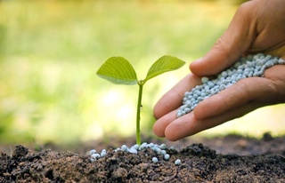 Ўсимликларни ҳимоя қилиш соҳасидаги ўзгаришлар қонун билан мустаҳкамланади