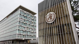 Глава ВОЗ: «Дельта» - самый заразный из известных вариантов коронавируса