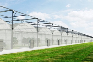 Sherobod tumanida “Surxon-Agro” erkin iqtisodiy zonasi tashkil etiladi