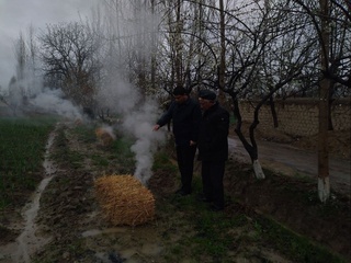 Daraxtlarning yoshi va qalin siyrakligiga qarab har gektarda 100-200 ta uyum hosil qilish kerak