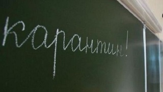 Открывать ли школы?