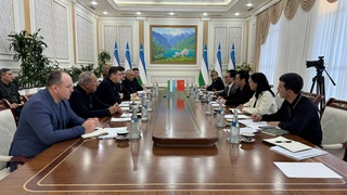 Ответный визит