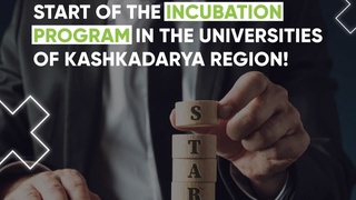 В вузах Кашкадарьи запускается программа инкубации для молодежи