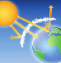 Биохилма-хиллик бўйича янги қўмита тузилди
