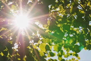 Прогноз погоды на 31 августа